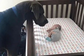 Screenshot 2025 06 11 At 11.04.50 Pm